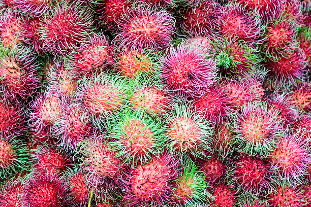 istock Tropical fruits lined up in a storefront in Southeast Asia 2234642076