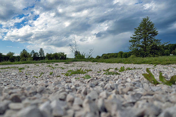 Scenic view of a gravel path surrounded by lush greenery and trees under a dramatic cloudy sky. Peaceful countryside landscape perfect for nature, travel, and outdoor concepts. Low angle.