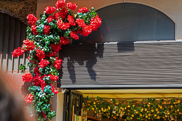 People sale and buy decorative round kumquat tree on street. Together with peach flower, kumquat tree is symbol of spring and traditional lunar new year. Tet holiday in Vietnam.