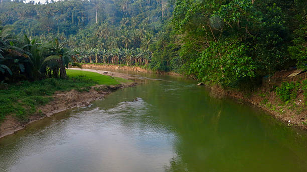 istock River valley in the jungle. 2234644900