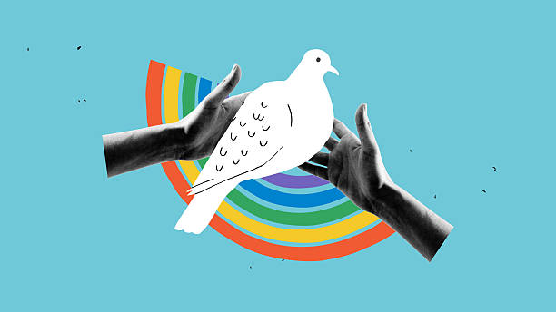 istock Bright composition. Hands holding a white dove with rainbow in the background on blue sky backdrop 2234645126