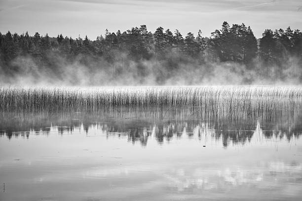 istock Morning mist on the lake, quiet forest landscape with mystical reflection 2234647714