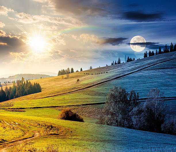 istock forest on grassy hill on autumn equinox 2234651646