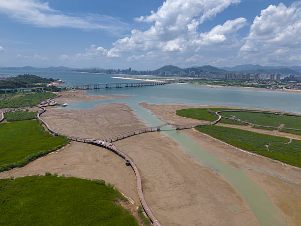 istock A Harmonious Blend of Urban Development and Natural Wetland Landscape 2234656493