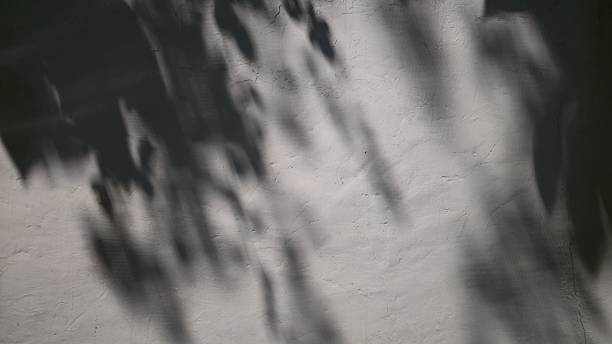 istock Shadow of a tree at night on a grey concrete wall. Black shadow of a tree. Rough old grey concrete wall with stains. 2234656820
