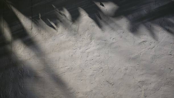 istock Shadow of a tree at night on a grey concrete wall. Black shadow of a tree. Rough old grey concrete wall with stains. 2234656841