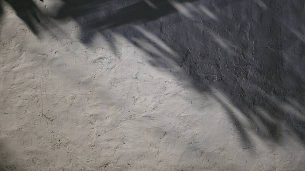 istock Shadow of a tree at night on a grey concrete wall. Black shadow of a tree. Rough old grey concrete wall with stains. 2234656842
