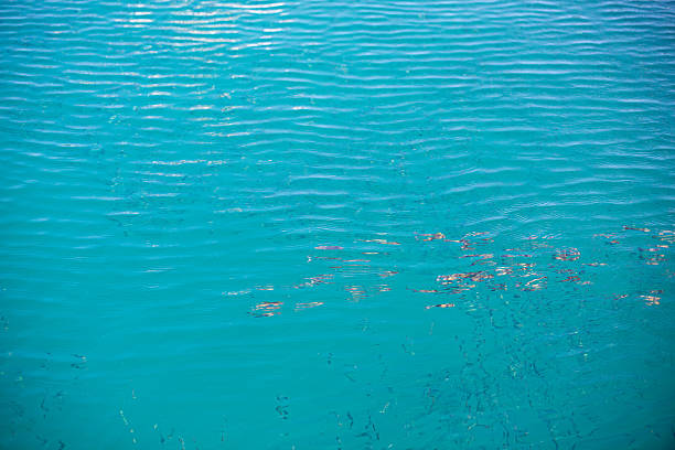 Coral barrier of Maragogi beach in Alagoas Brazil