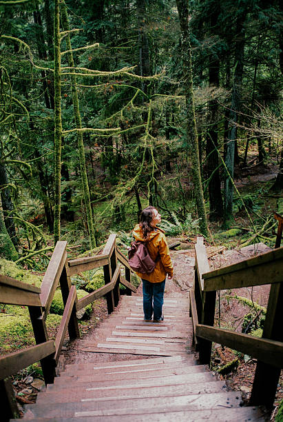istock Woman exploring forest in British Columbia, Canada 2234657051