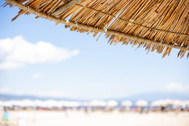 Looking out at blurred beach through straw umbrella on sunny summer day