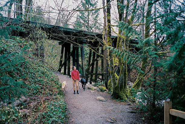 Woman walking with dogs in Vancouver in springtime, shot on camera film during cozy walks in the neighbourhood