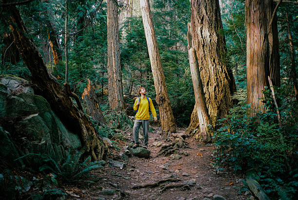 istock Man exploring forest in Vancouver, British Columbia in springtime 2234659099