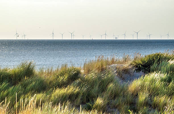 The horizon of Noordwijk beach filled with off shore wind turbines at sunsetThe horizon of Noordwijk beach filled with off shore wind turbines at sunset, with upcoming fog
