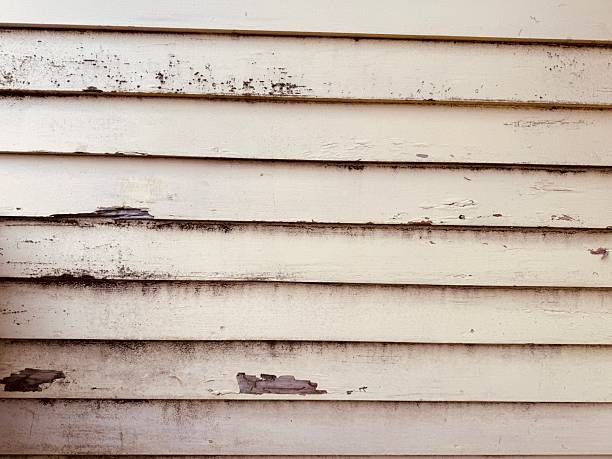 Details of an Rustic House