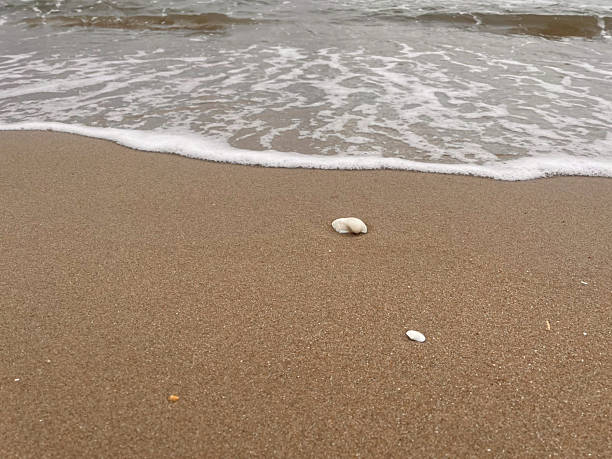 Background of sandy beach and white foam waves