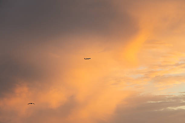 idyllic cloudscape after sunset