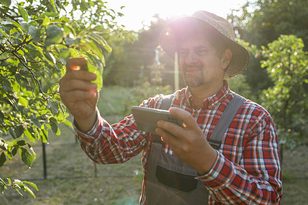 istock Smart Farming Concept With Phone-Based Crop Monitoring 2234667314