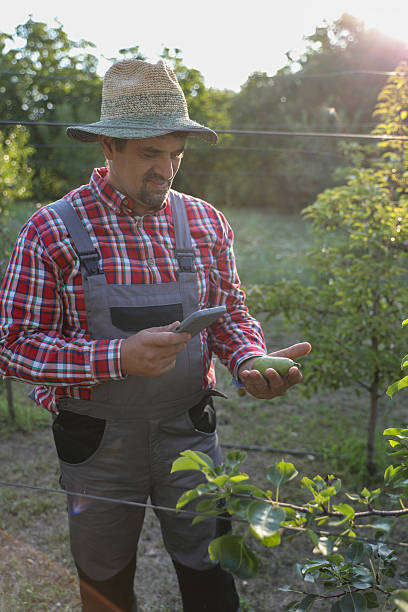 istock Smart Farming Concept With Phone-Based Crop Monitoring 2234667485
