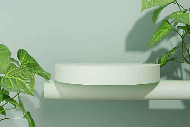 istock Podium on a green background with shadows and leaves. 3d render 2234671314