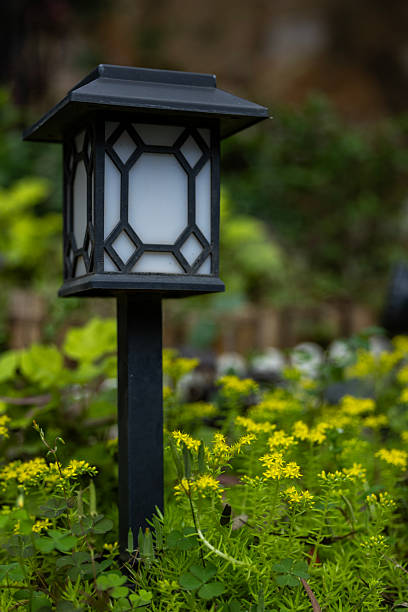A close-up of a corner of the garden