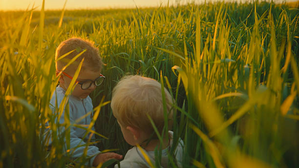 Two Young Brothers Enjoying Playful Moments Together in a Tall Green Field, Basking in the Warm Glow of a Beautiful Sunset, Creating Memories Filled with Joy and Togetherness