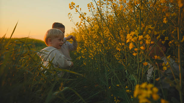 istock Children Playing in a Rapeseed Field at Sunset 2234675356