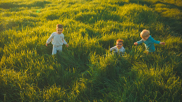Three Cheerful Children are Running and Playing in a Tall Green Field, Illuminated by the Warm Golden Light of the Setting Sun, Enjoying a Carefree Moment of Outdoor Fun