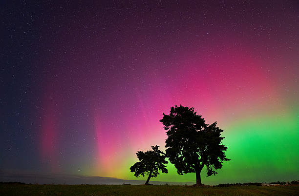 istock Two tree silhouettes stand in an open field beneath a vivid aurora borealis. The night sky over Lithuania 2234681014