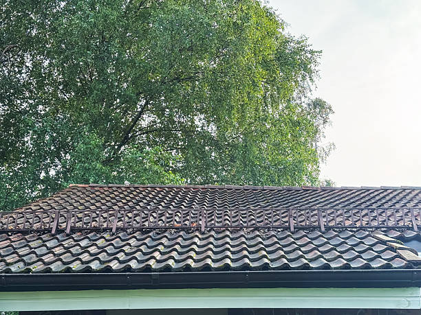 istock A rooftop covered with neatly arranged shingles, equipped with snow guards to prevent snow from sliding off. 2234683773
