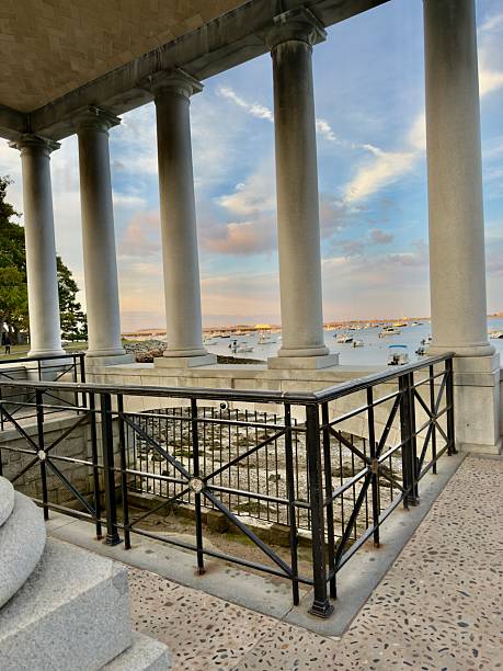 istock Plymouth Rock 2234685226