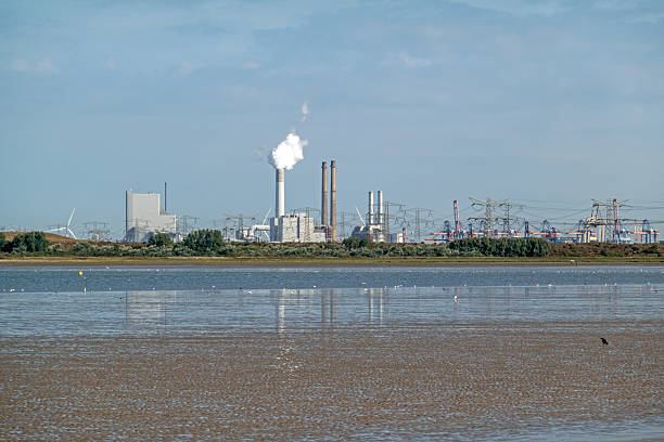 Voornse slikken, a Natura 2000 protected wetland area know for water and waderbirds, bordering the largest port of Europe Rotterdam and its reclaimed lands of the Maasvlakte