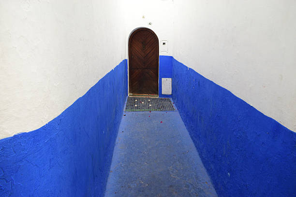 This image displays a narrow passageway with vibrant blue-painted walls leading to a wooden arched door at the end. The lower half of the walls are painted bright blue while the upper half remains white, creating a striking contrast and drawing attention to the doorway’s herringbone wood pattern. The architectural style and color scheme are characteristic of Mediterranean or North African towns, suggesting a traditional residential entrance in a culturally rich urban setting.