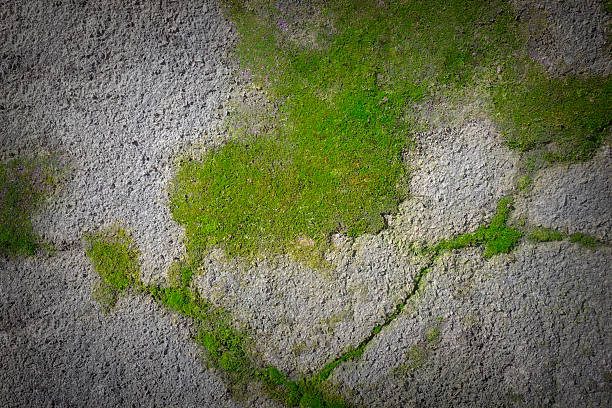 istock Background with a textured surface covered with green moss with a play of light and shadow and uneven natural light spots. 2234693383