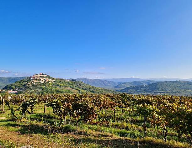 istock Istria - hills - Motovun 2234693386