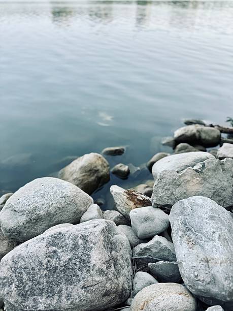 Close-up view of smooth grey stones along a calm riverbank with gentle water reflections, creating a peaceful and natural landscape background.