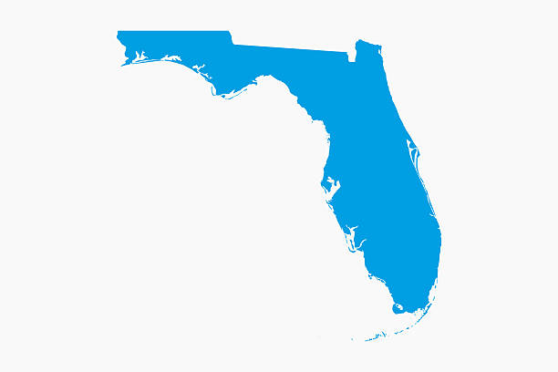 istock Vector artwork of detailed outline map of FLORIDA 2234698935
