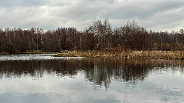 istock last autumn landscape with leafless trees mirrored in calm lake water surface 2234704401