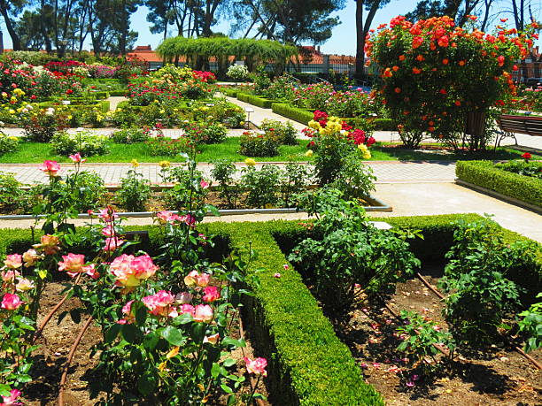 istock La Rosaleda Park in Madrid. 2234709348