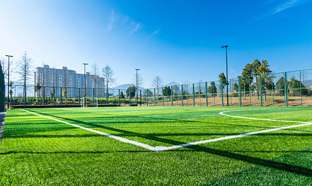 istock Empty soccer field with green grass 2234709537
