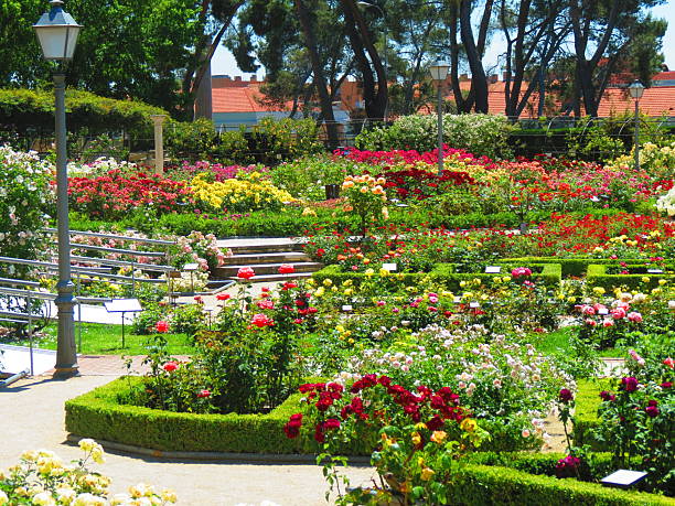 istock La Rosaleda Park in Madrid. 2234709564