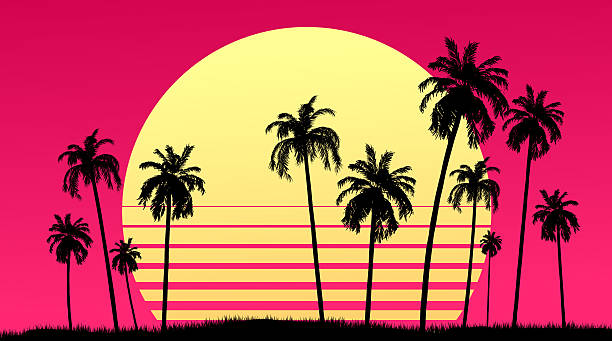 Palm trees