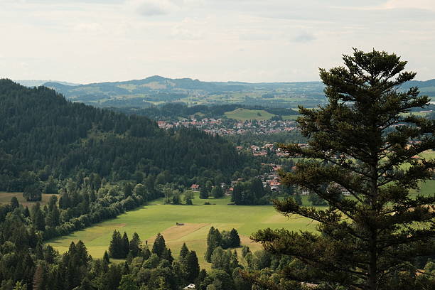 istock view of the mountains, village, tree 2234712478