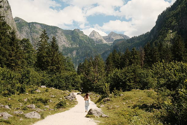 hiking in the mountains, forest, pathway