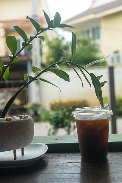 istock Refreshing Iced Coffee with Green Plant 2234712743