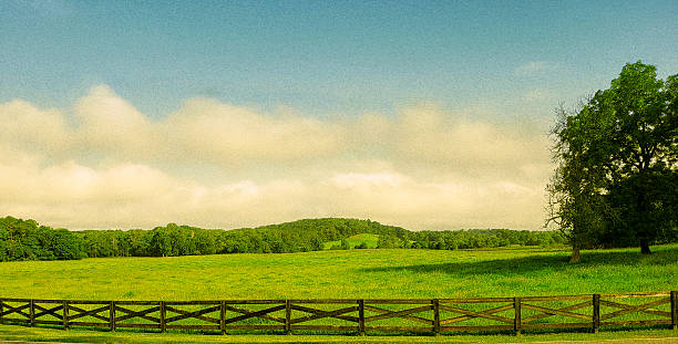 Fenced Pasture. Cumulus Clouds, Tree - Tranquil Rural Scene with Grainy Stipple Texture - Spring and Summer - Atmospheric Mood