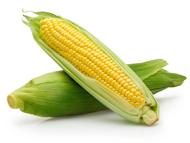 istock Two ear of corn isolated on white background 2234730261