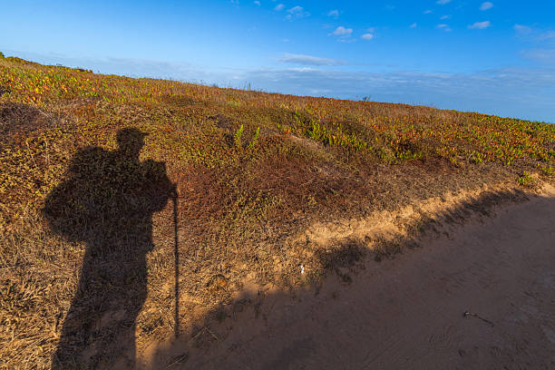 Self portrait shadow in morning light.