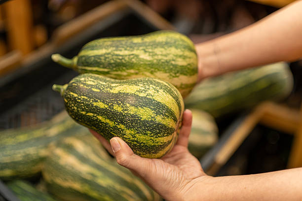 istock Hands holding organic zucchini squash while grocery shopping 2234730513