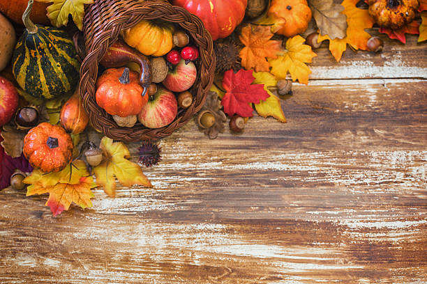 istock Autumn or Thanksgiving decoration 2234730529