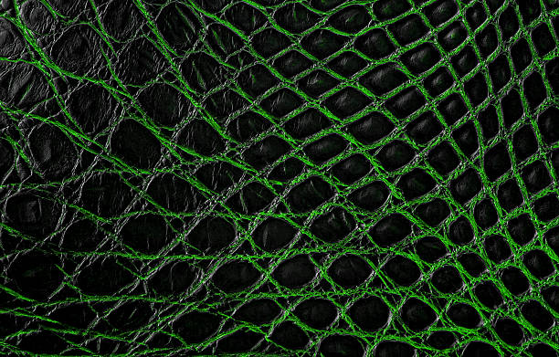 istock Natural crocodile leather as background, green color. Texture of alligator skin. 2234731865